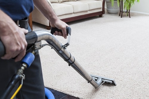Carpet Cleaning Services by Sparky Carpet Cleaning